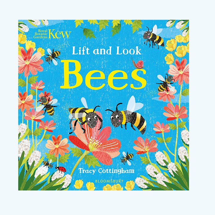 Lift and Look Nature Book Pack bees