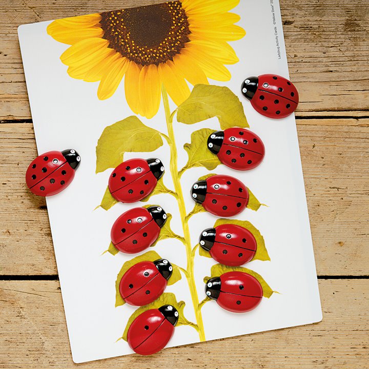 Ladybug stones on sunflower activity card