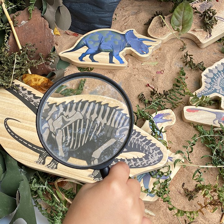 Eight wooden dinosaur shapes to investigate