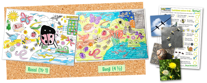 Colouring competition WINNERS! And nature trail download...