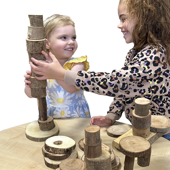 Log Construction Set