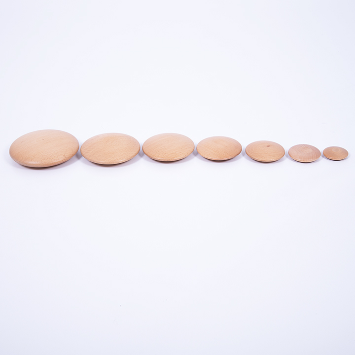 Line of natural buttons from large to small