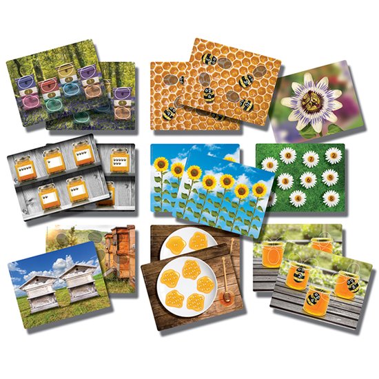 Honey Bee Counting Activity Cards