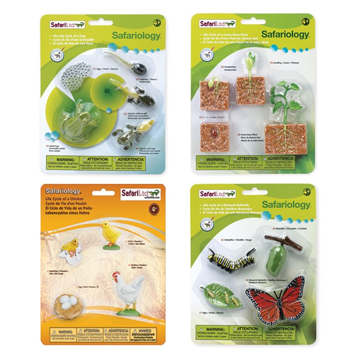 Set of 4 packs of life cycle transformations