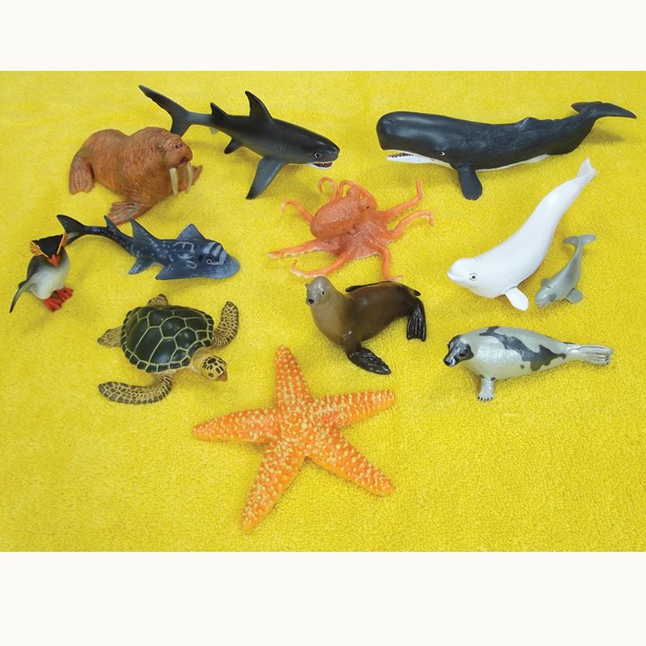 Sea-life animals models