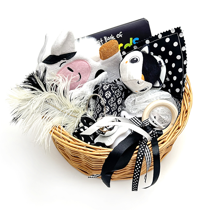 Sensory exploration basket for babies