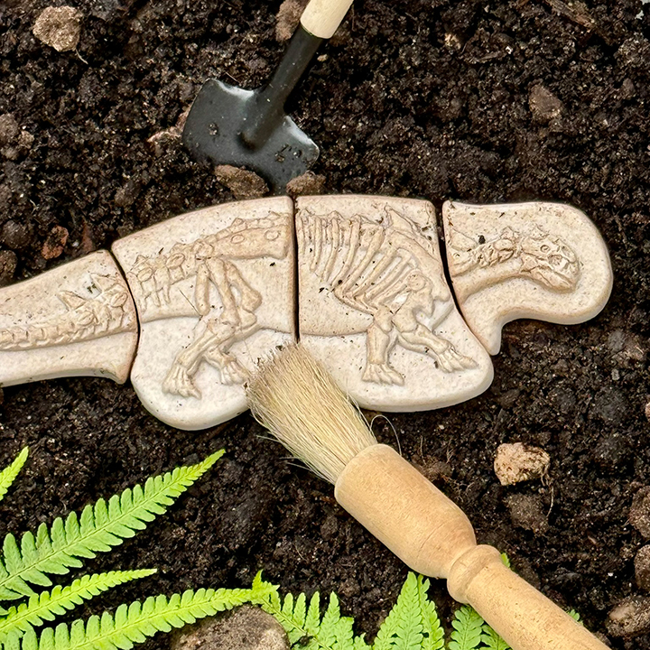 Dinosaur puzzle in soil