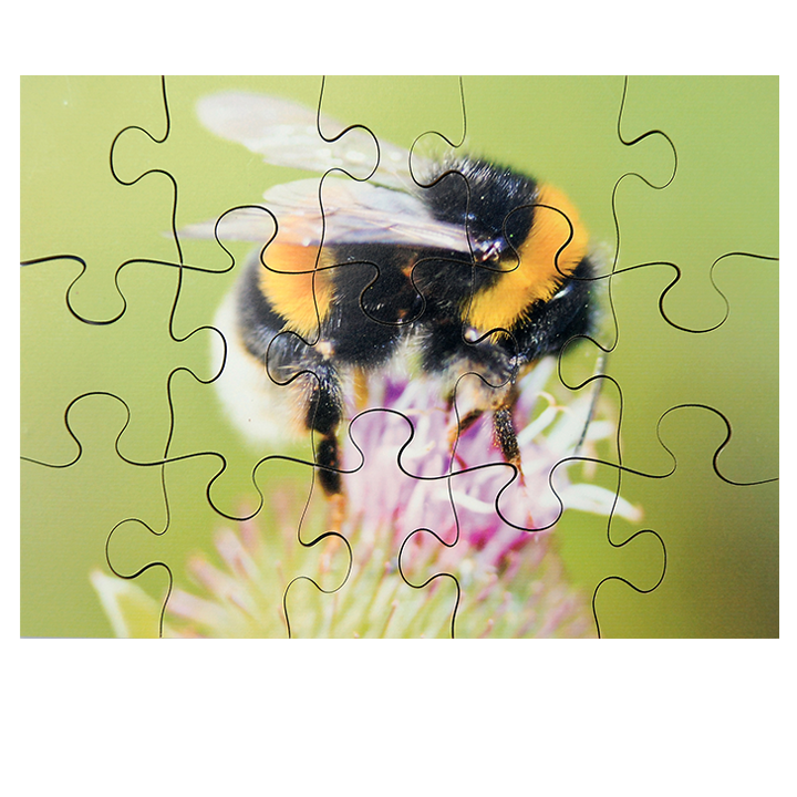 Bee Puzzle