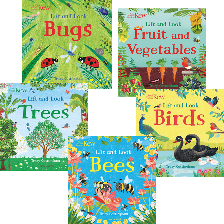 Five board books in a pack