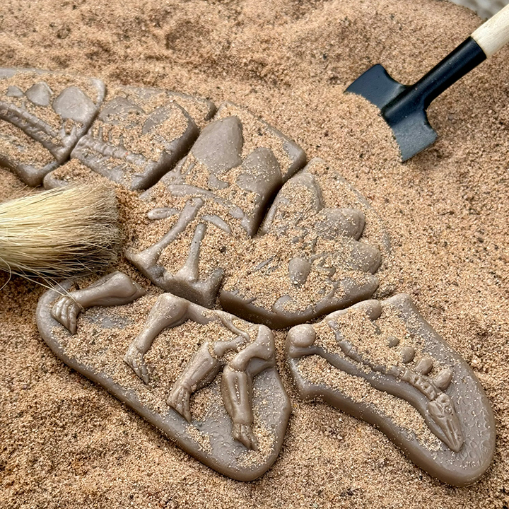 Dinosaur Puzzle in Sand