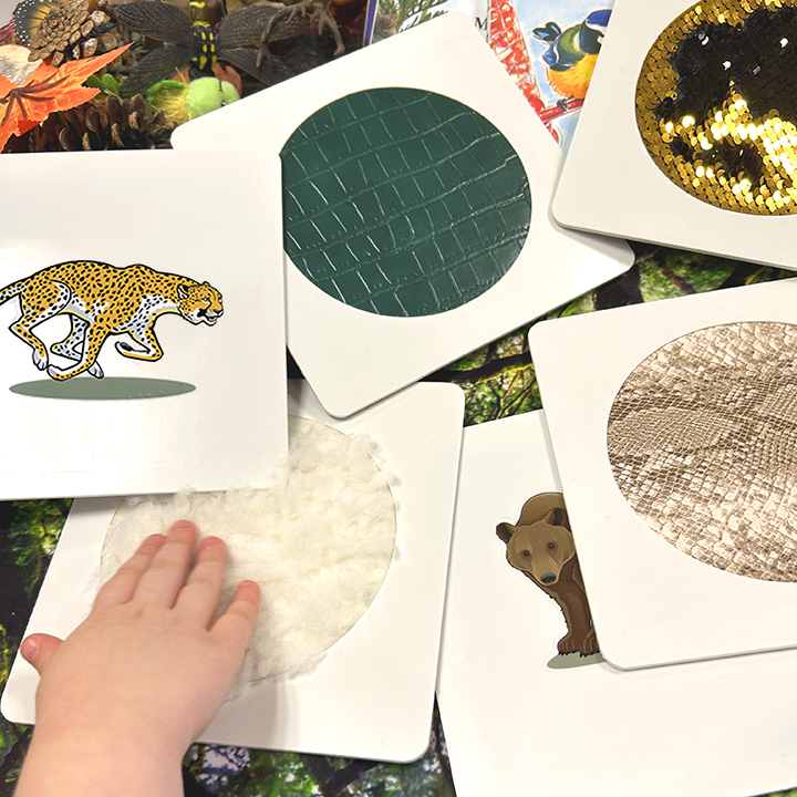 Touch and feel sensory cards