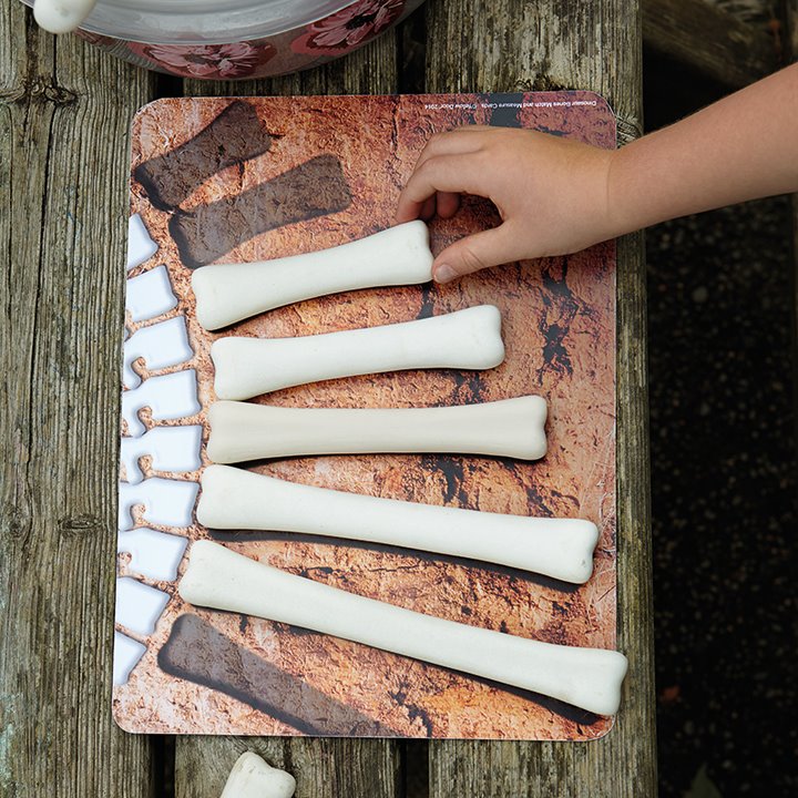 Dinosaur Bones - Early Years Direct