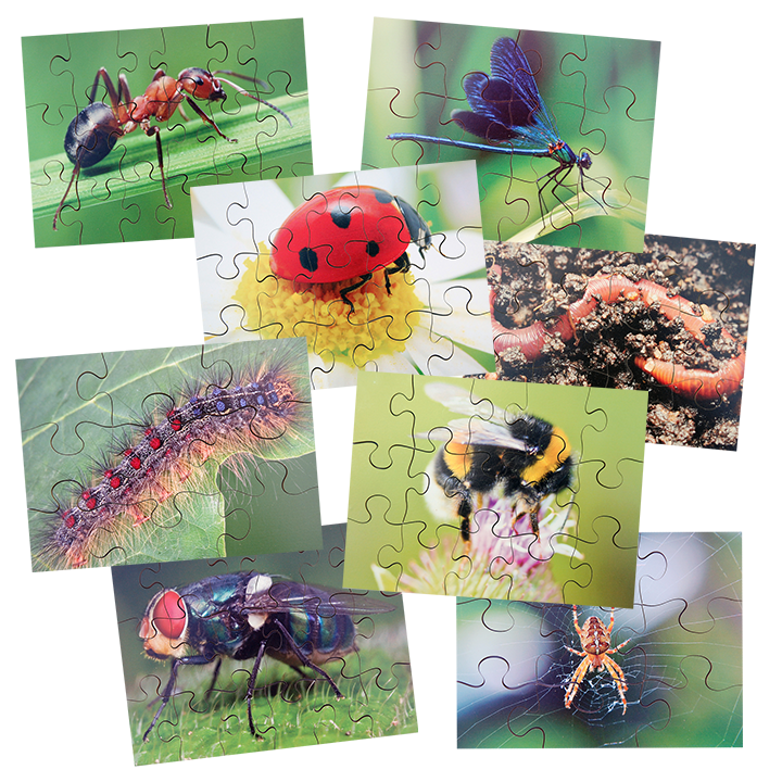 Set of 8 Mini Beast Puzzles