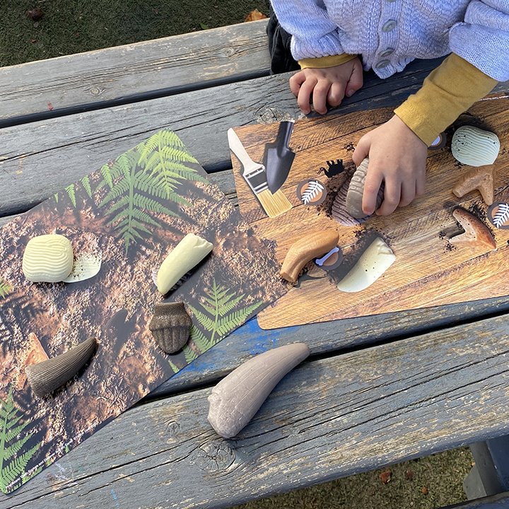 Stones and activity cards for prehistoric learning