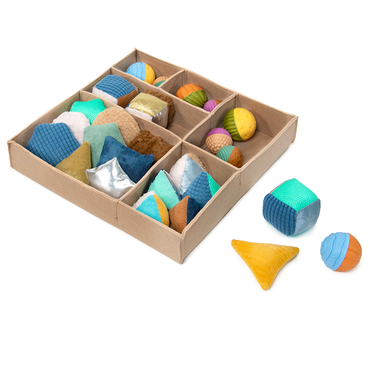 Box with compartments and objects to explore