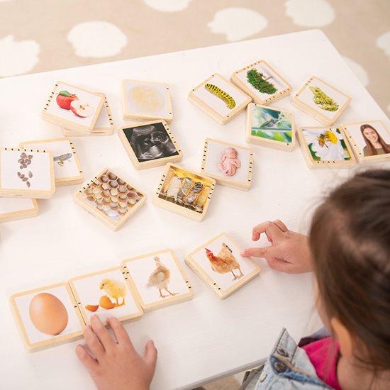 24 wooden tiles for learning about nature