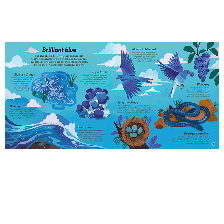 Spread from Colours of Nature Book