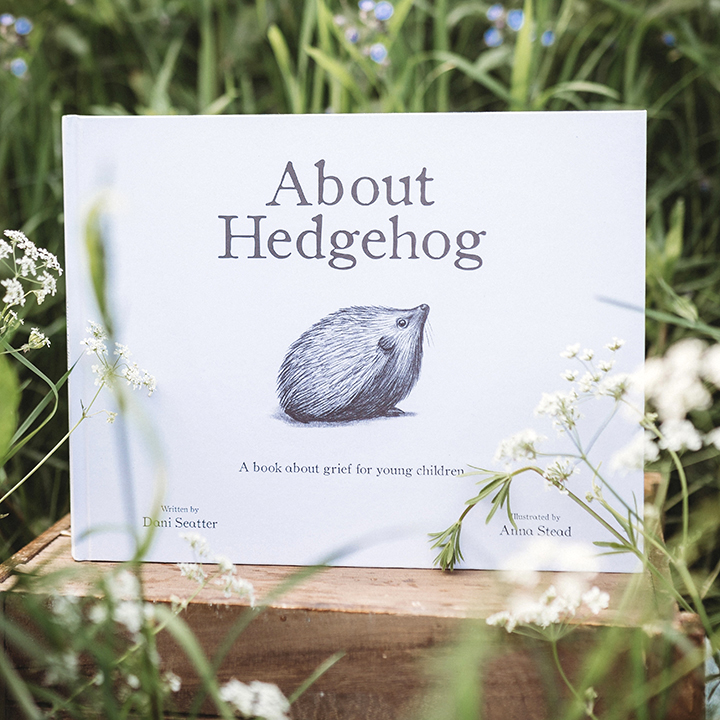 Childhood bereavement picture book