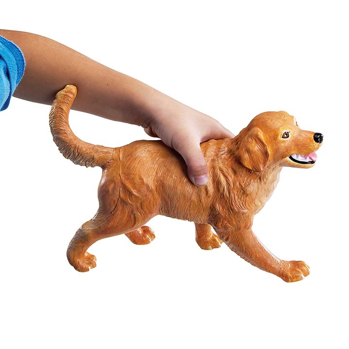 Plastic dog toy
