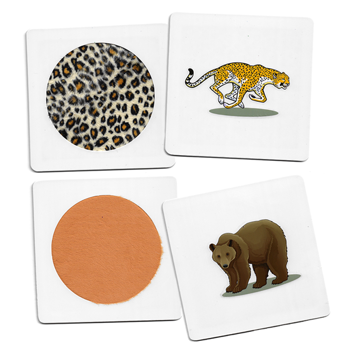 Cheetah and Bear Texture Cards