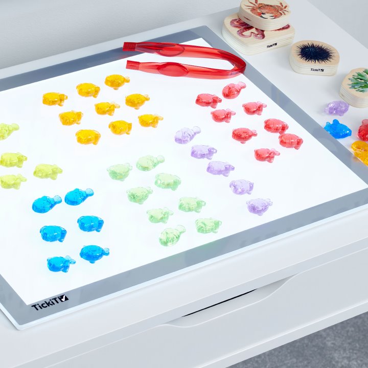 Translucent Fish - Early Years Direct