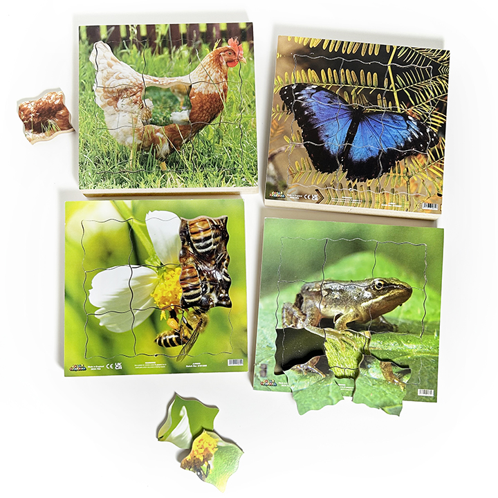 Layered Life Cycles Puzzles