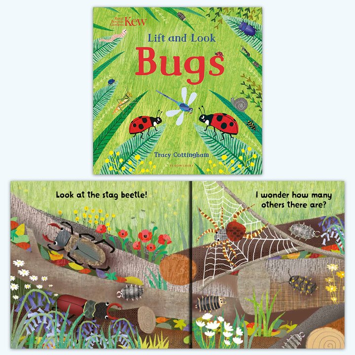 Lift and Look Nature Book Pack Bugs