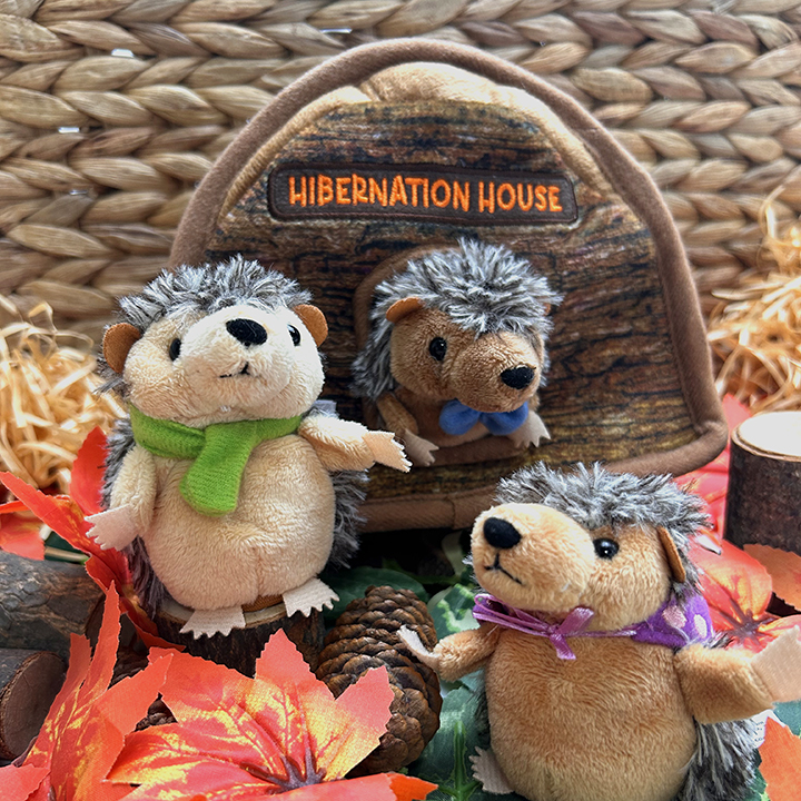 Hedgehog finger puppets and house