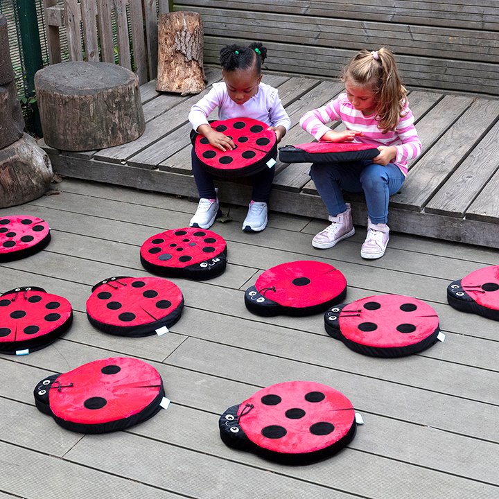 Ladybird cushions with tactile fabrics