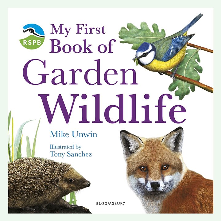 Wildlife book for children