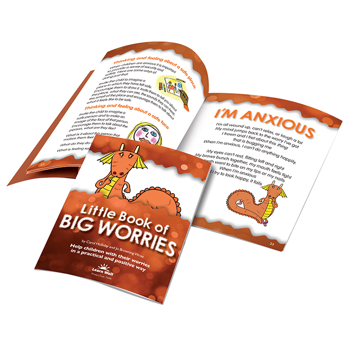 Little Book of Big Worries