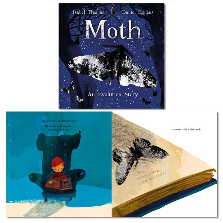 Moth picture book