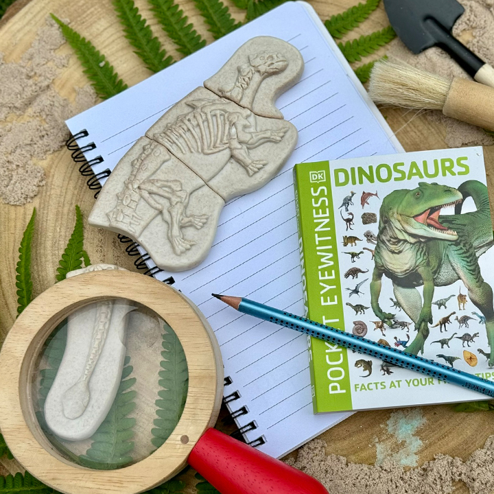 Dinosaur identification