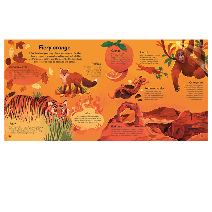 Spread from Colours of Nature book