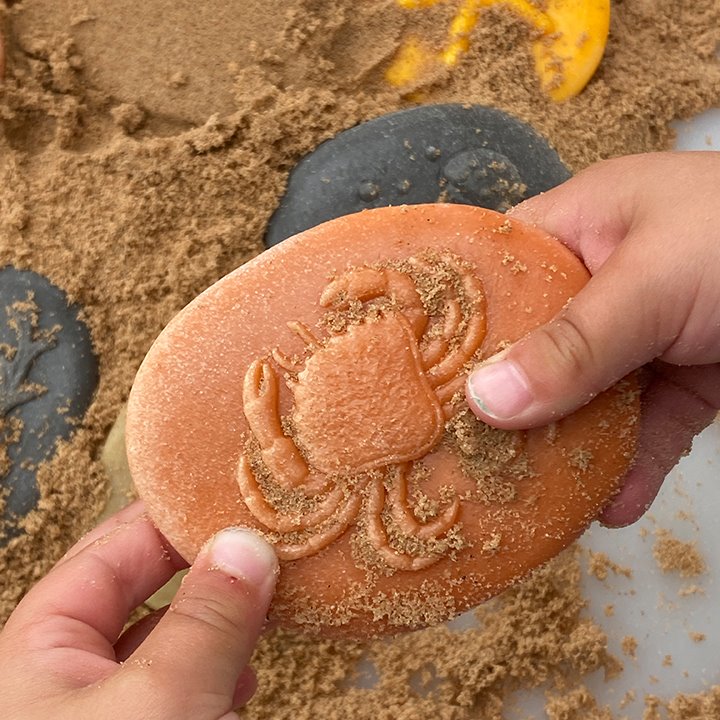 Crab stone in sand