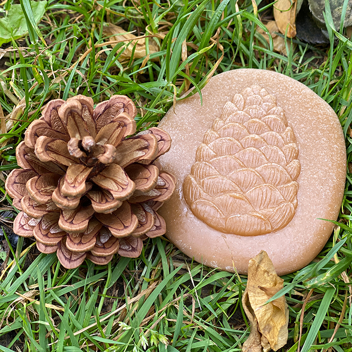 Match the stone with a real fir cone