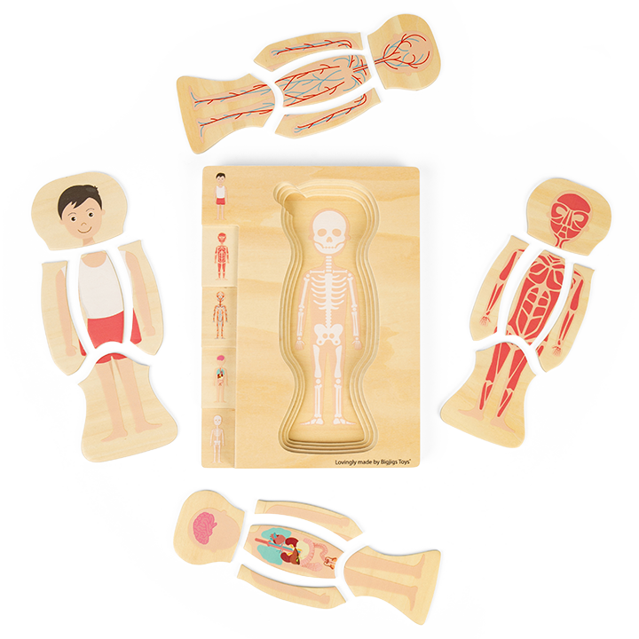 Boy body puzzle