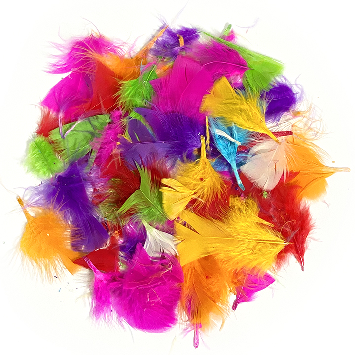 Bright feathers for crafts