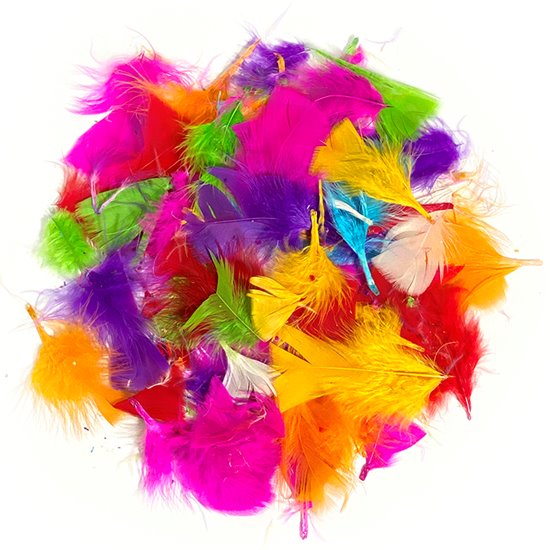 Bright feathers for crafts