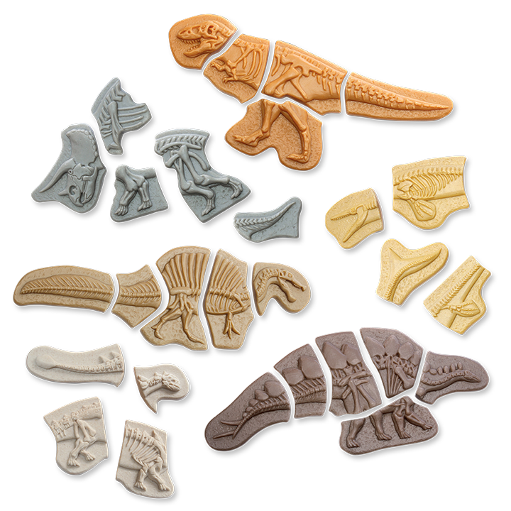 Six dinosaur puzzles