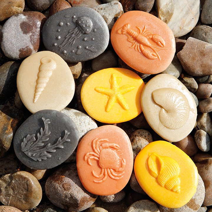 Seashore nature stones