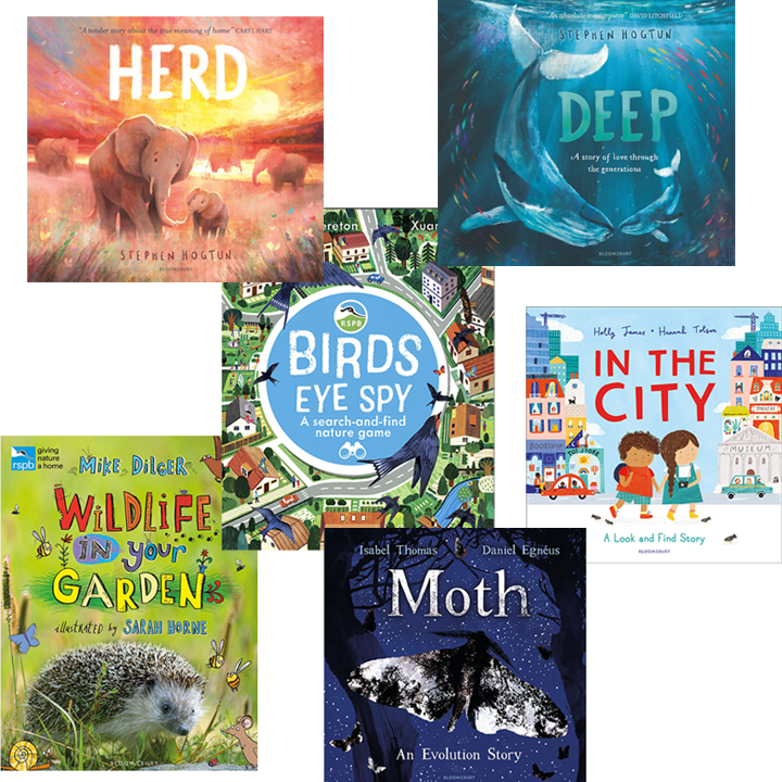 Set of 6 picture books on nature