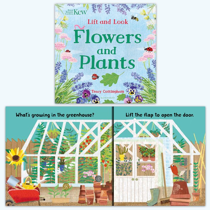 Lift and Look Flowers and Plants board book