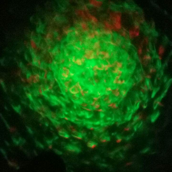 Sensory Cloud Projector Early Years Direct