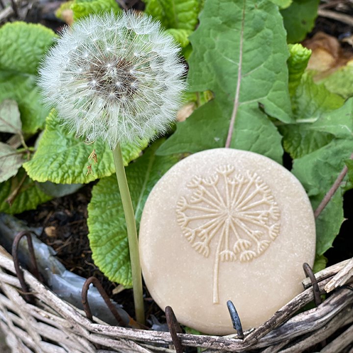 Match the stone to the real dandelion head