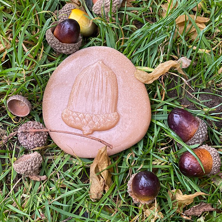 Match the stone to real acorns