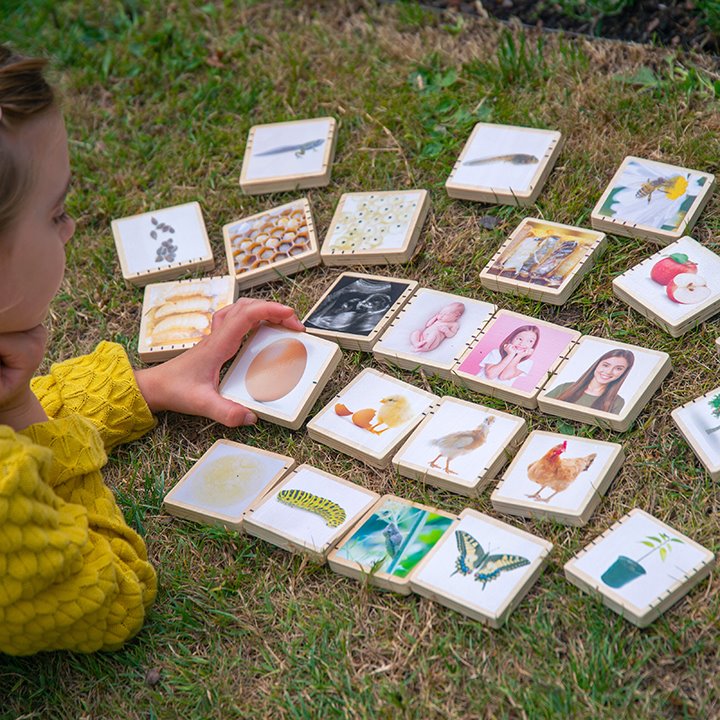 Getting to know nature with lifecycles tiles