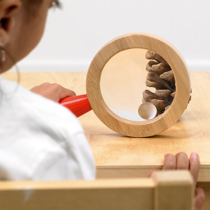 Wooden Hand Lens - Early Years Direct
