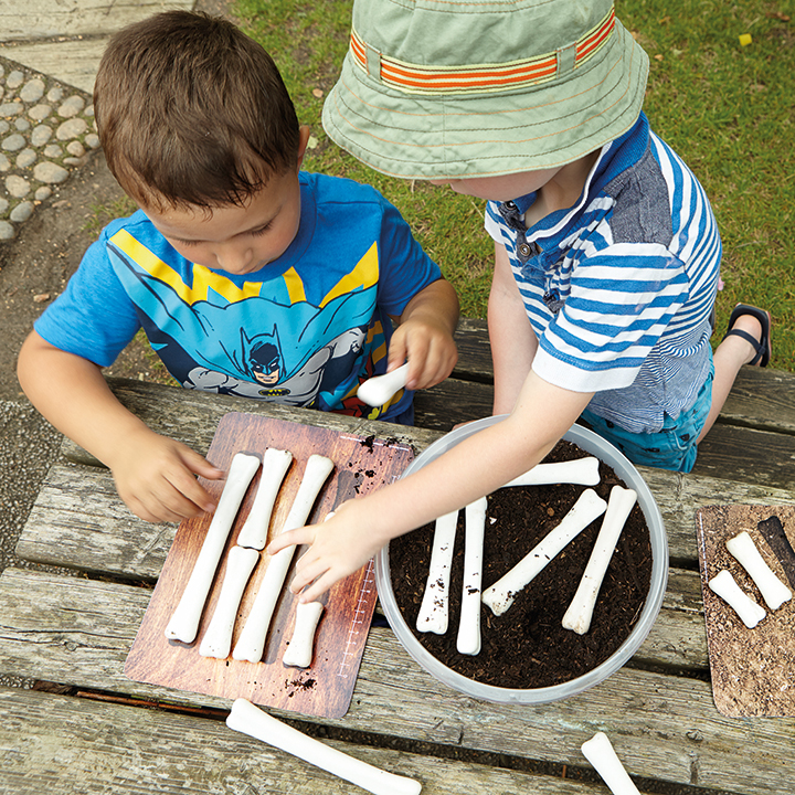Stone shaped dinosaur bones