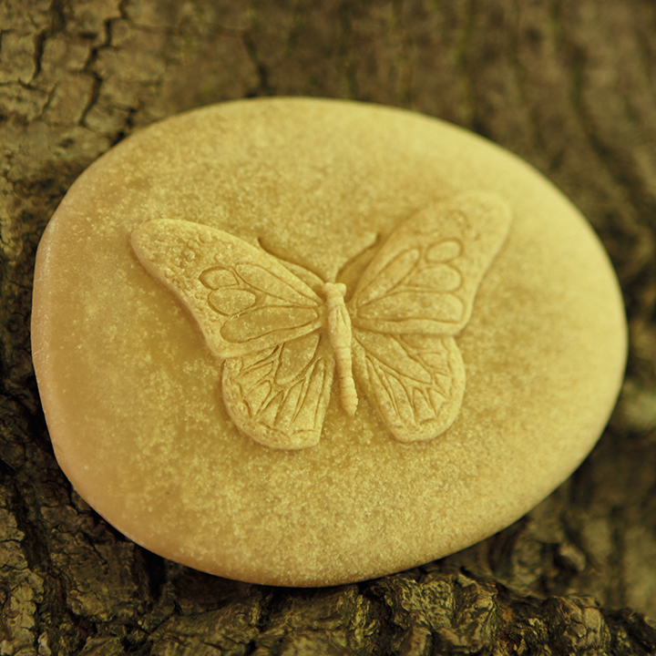 Lets investigate bugs